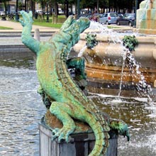 Crocodile