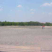Buchenwald